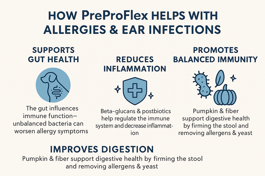 The Gut-Immune-Skin Connection