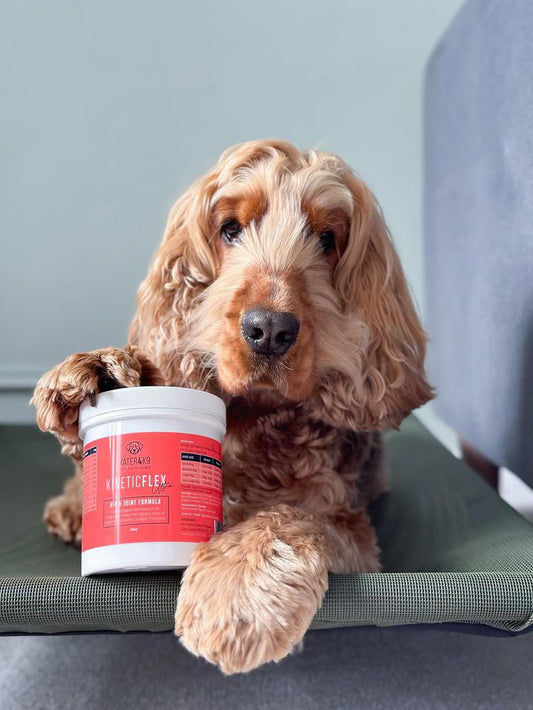 KineticFlex Ultra. The collagen supplement.