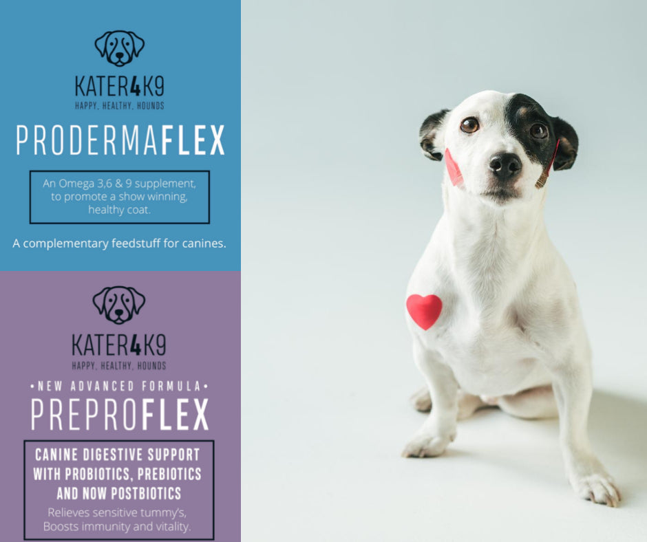 Skin From Within Bundle