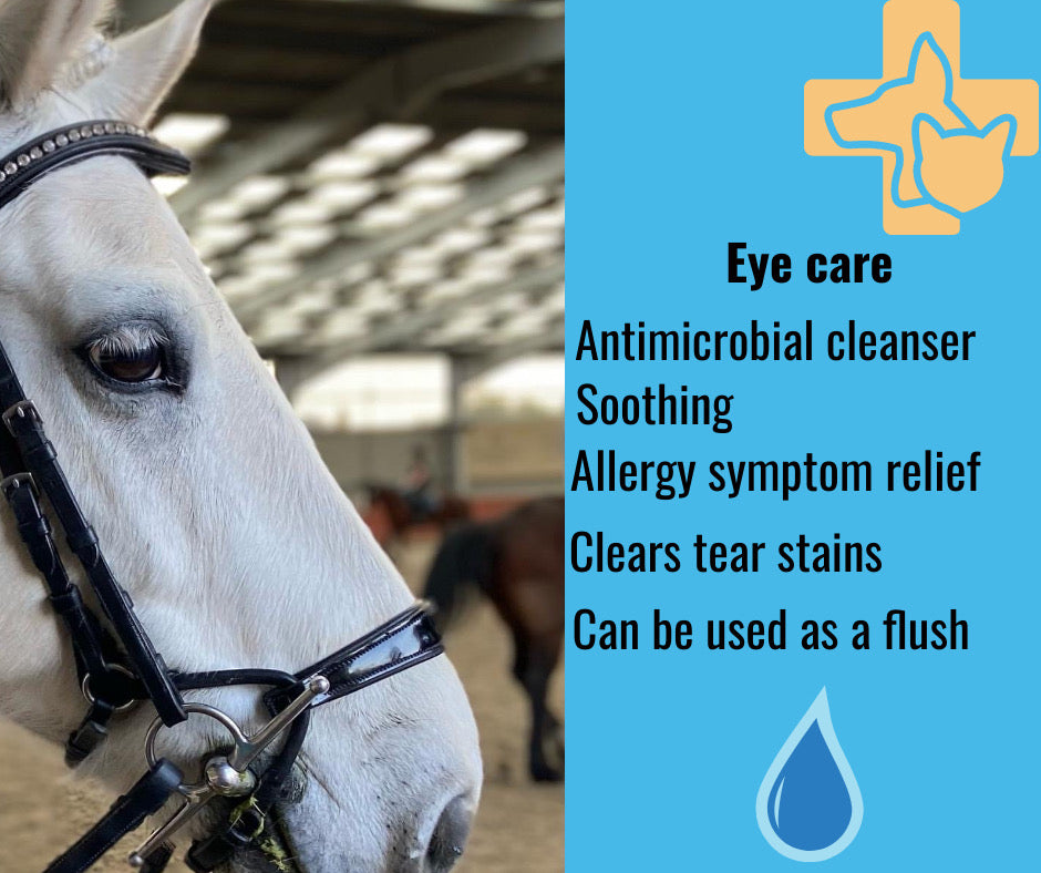 Flexocillin first aid spray. Veterinary Strength. 500ml. (Like Leucillin)