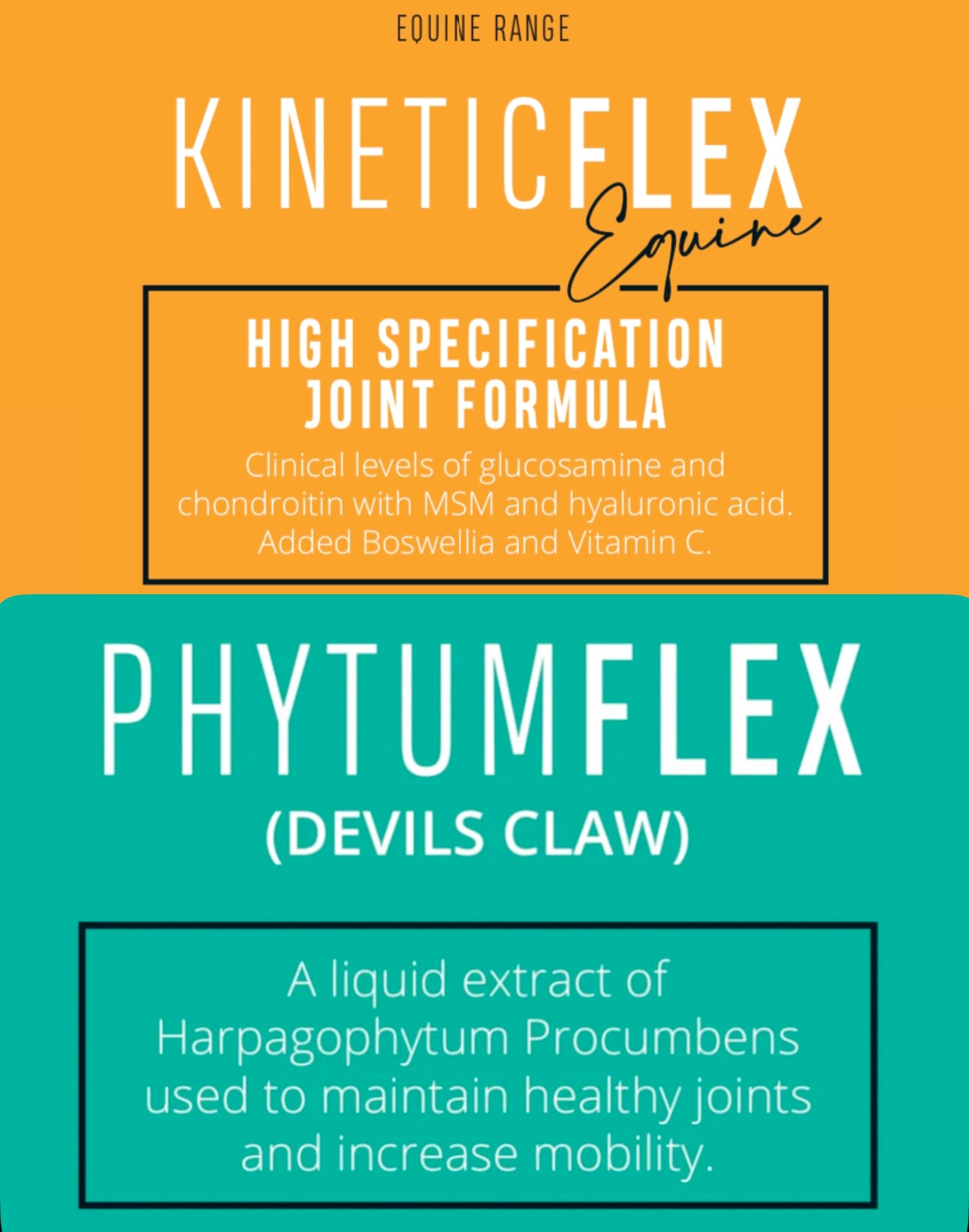 Equine Joint Bundle.