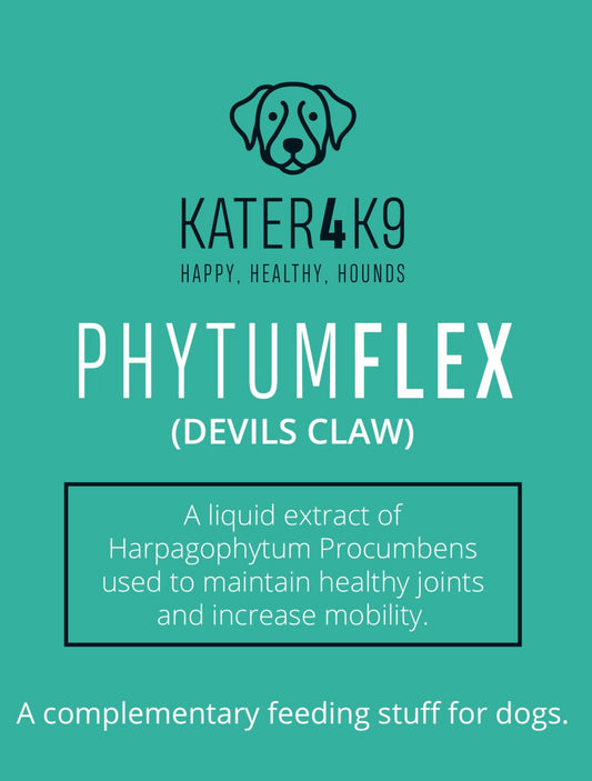 PhytumFlex. Liquid devils claw. 1000ml