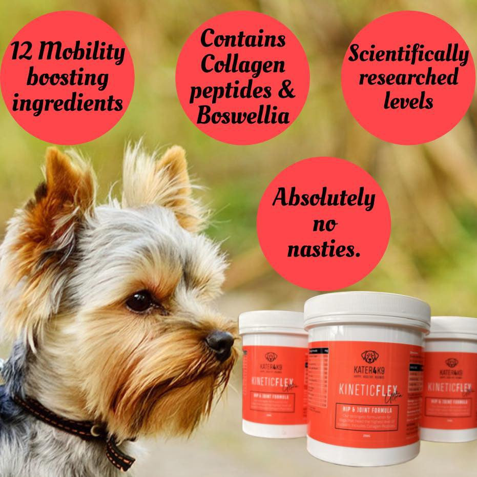 KineticFlex Ultra. Veterinary Strength Joint Supplement for Dogs, with Collagen.