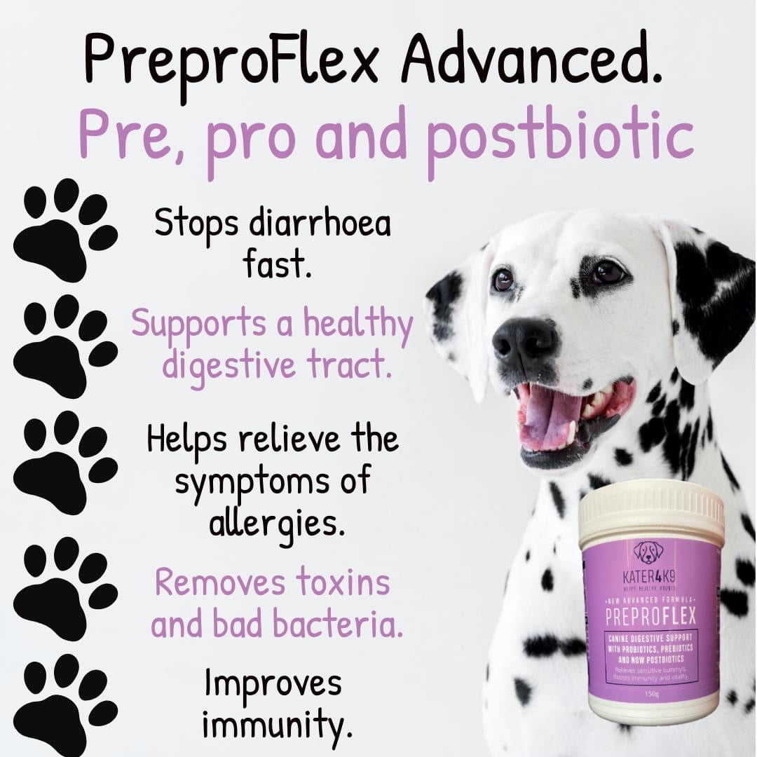 Preproflex Advanced. Probiotic, Prebiotic and Postbiotic Formula, including Pumpkin Powder.