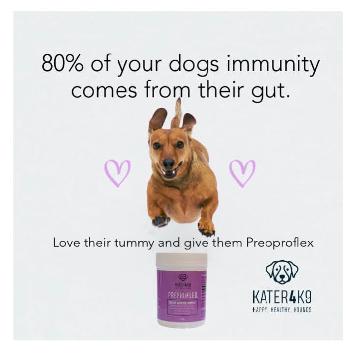 Preproflex Advanced. Probiotic, Prebiotic and Postbiotic Formula, including Pumpkin Powder.