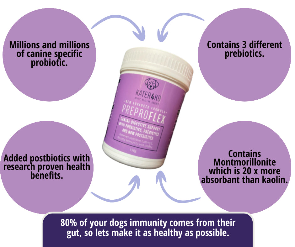 Preproflex Advanced. Probiotic, Prebiotic and Postbiotic Formula, including Pumpkin Powder.