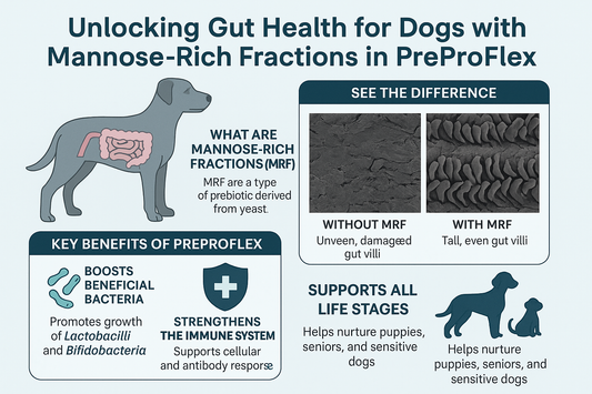 Dog gut health supplement PreProFlex with probiotics prebiotics and postbiotics for canine digestive wellness
