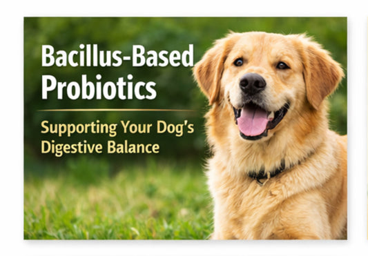 The best probiotics for dogs.