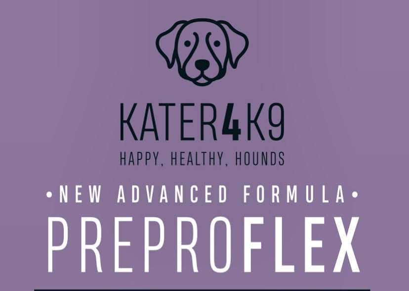 The best probiotics for dogs.