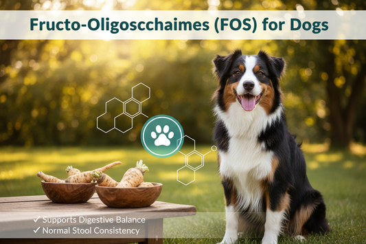 Prebiotics for Dogs: How FOS Supports Gut Health and Normal Stool Formation