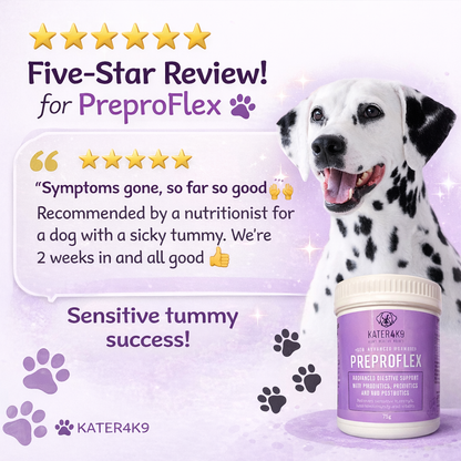 Preproflex Advanced. Probiotic, Prebiotic and Postbiotic Formula, including Pumpkin Powder.