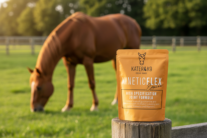 Sale items/End of Line/Limited BBD