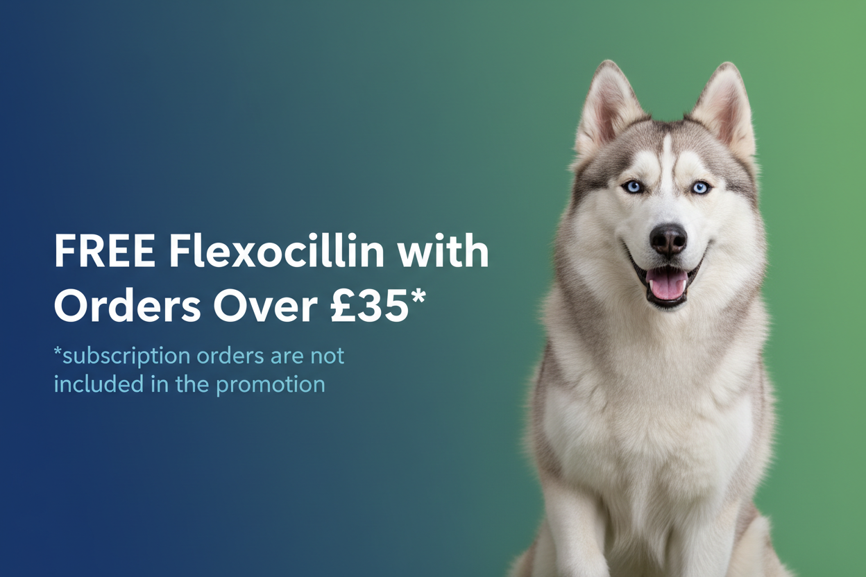 Flexocillin Promotion Banner with Husky - New Version