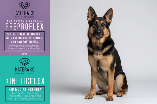 KATER4K9 Products with German Shepherd