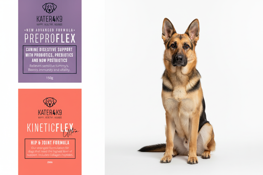 PreProFlex and KineticFlex Ultra with German Shepherd